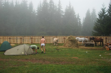 Gruzz, Herr, Burr, Retye